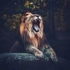 cbreezyq6